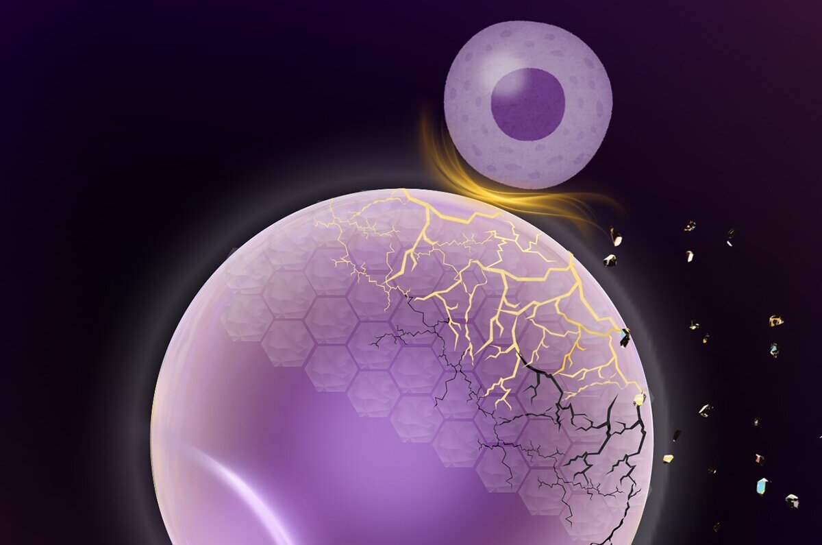 Druggable target that makes metastatic cancer cells easier to kill identified