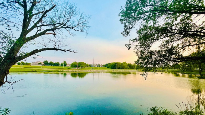 Between Branson and Tulsa is Arkansas' fast-growing city with easy access to the Ozarks