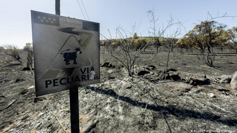 Spain has been fighting multiple fires in recent weeks and is already in its third heatwave this year