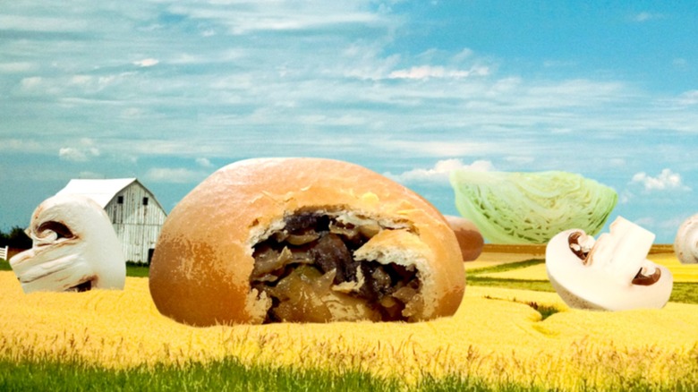 Runza with mushrooms and cabbage on Nebraska rural background