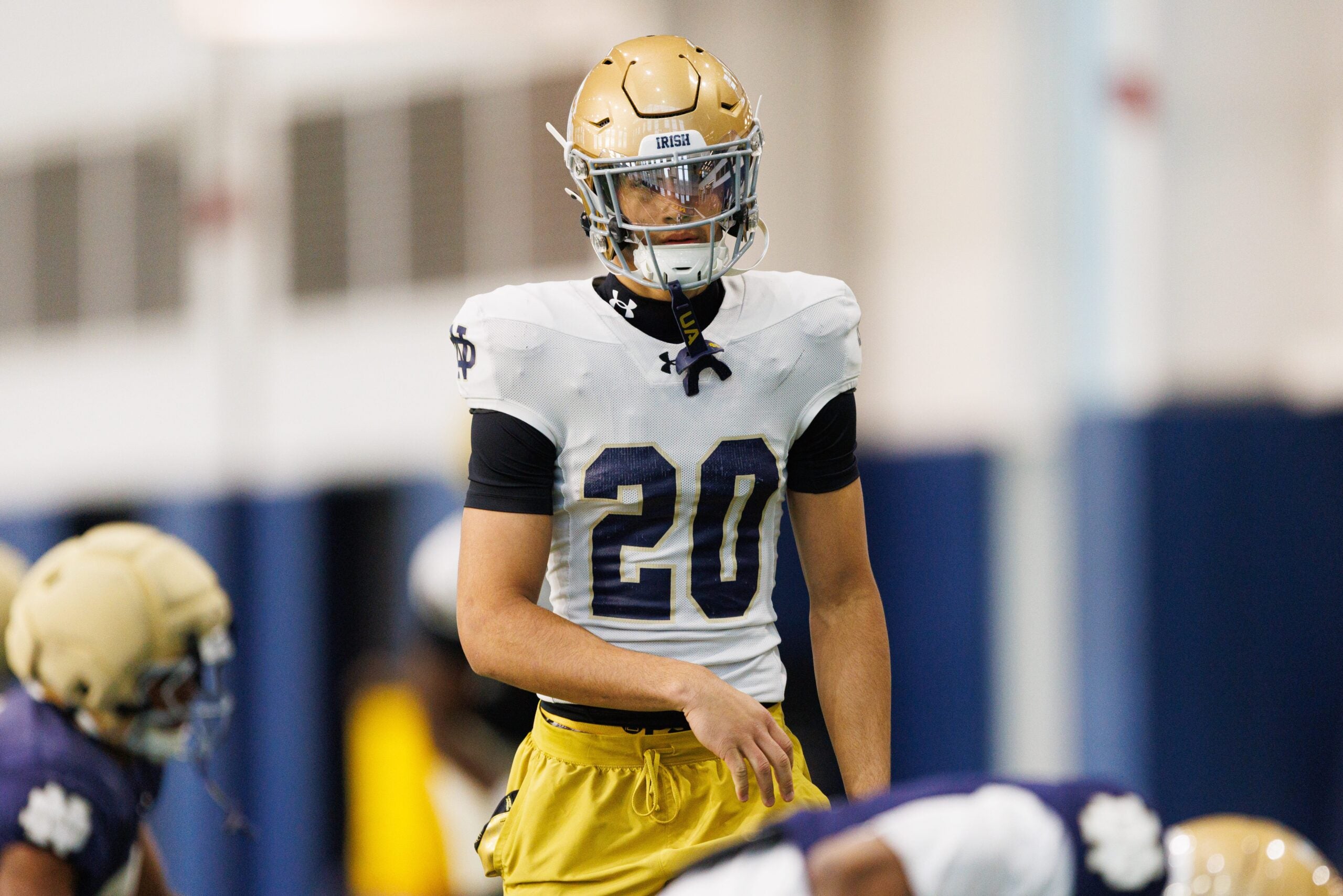 Notre Dame has some elite true freshmen who could push for defensive playing time heading into the 2026 CFB season