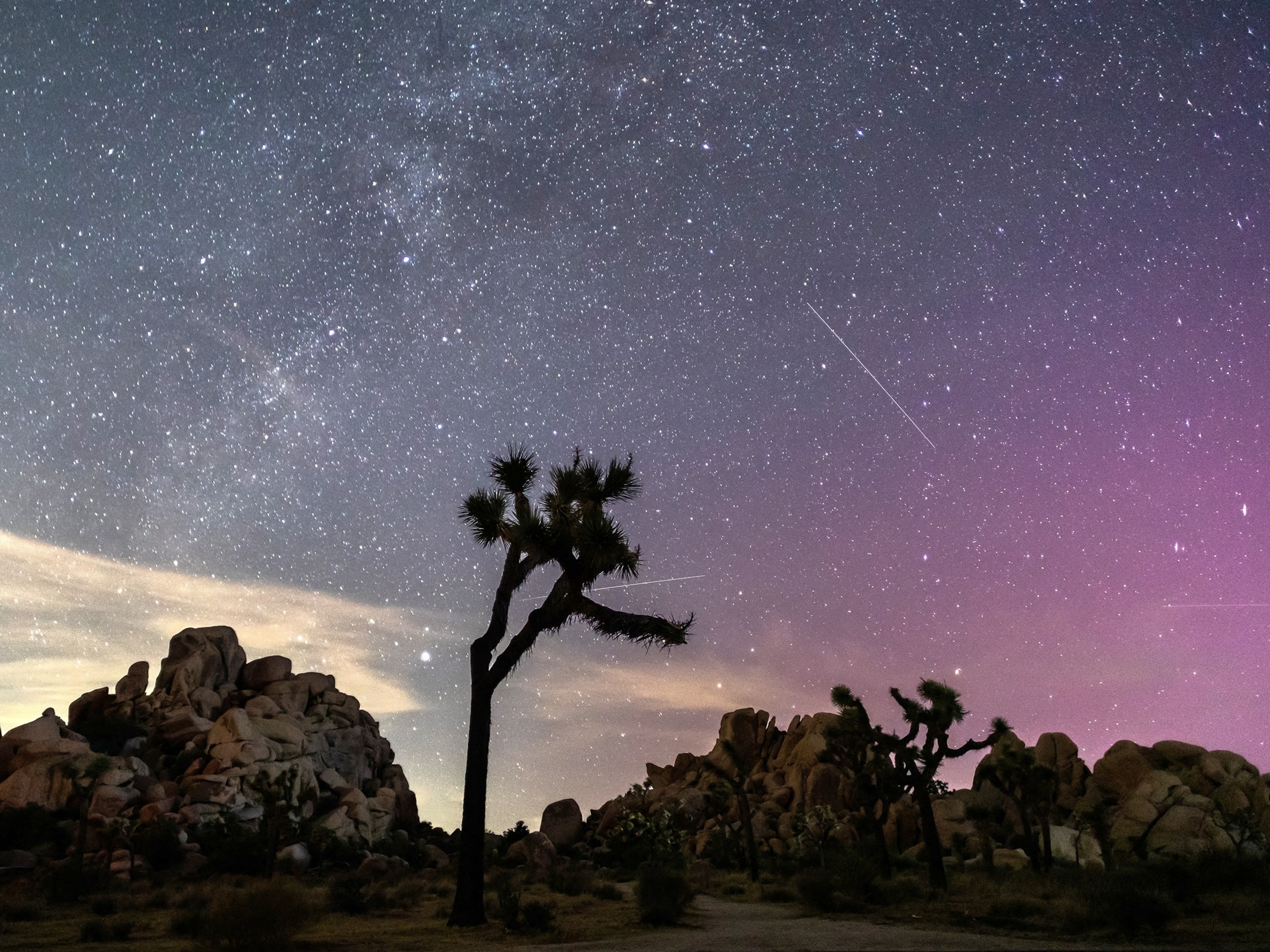 How to see the Perseid meteor shower this summer