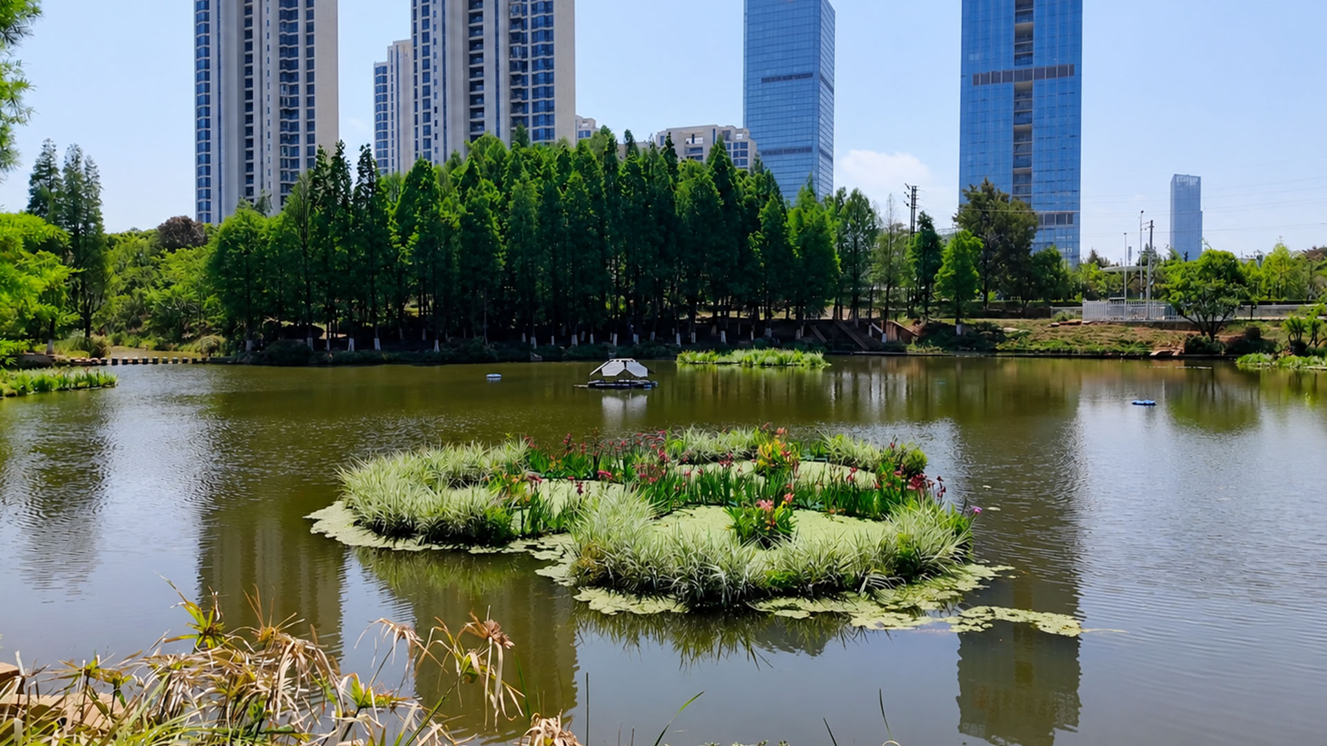 China's scenic city lake blends floating islands with modern high-rise ...