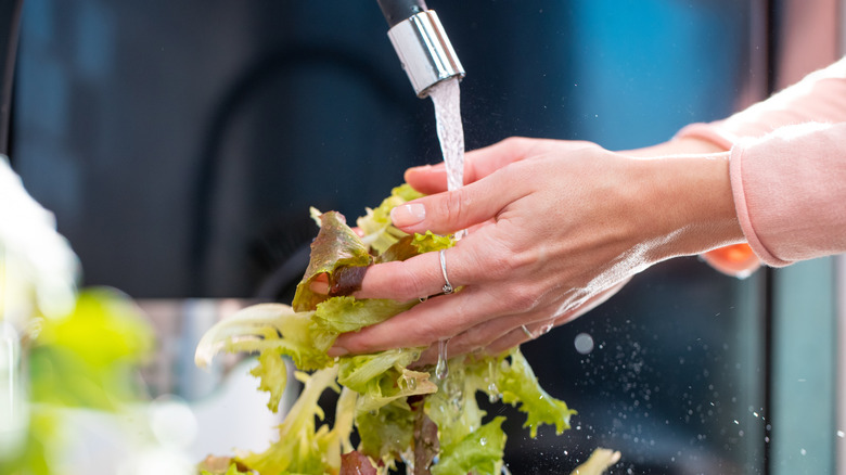 Why You Should Think Twice Before Buying Bagged Lettuce
