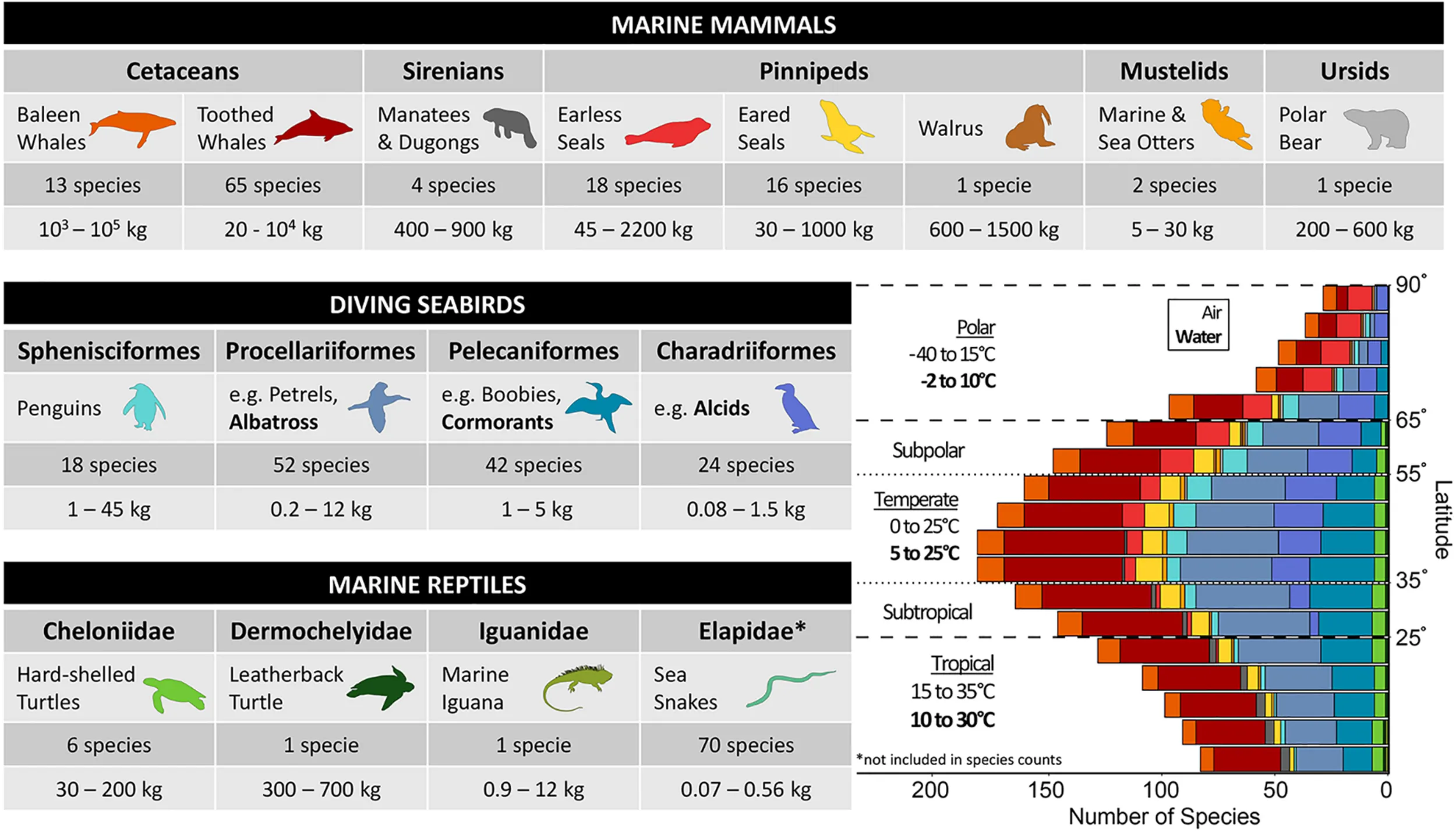 Marine air-breathing vertebrates are comprised of the following groups: marine mammals, seabirds, and marine reptiles. (CREDIT: Frontier)