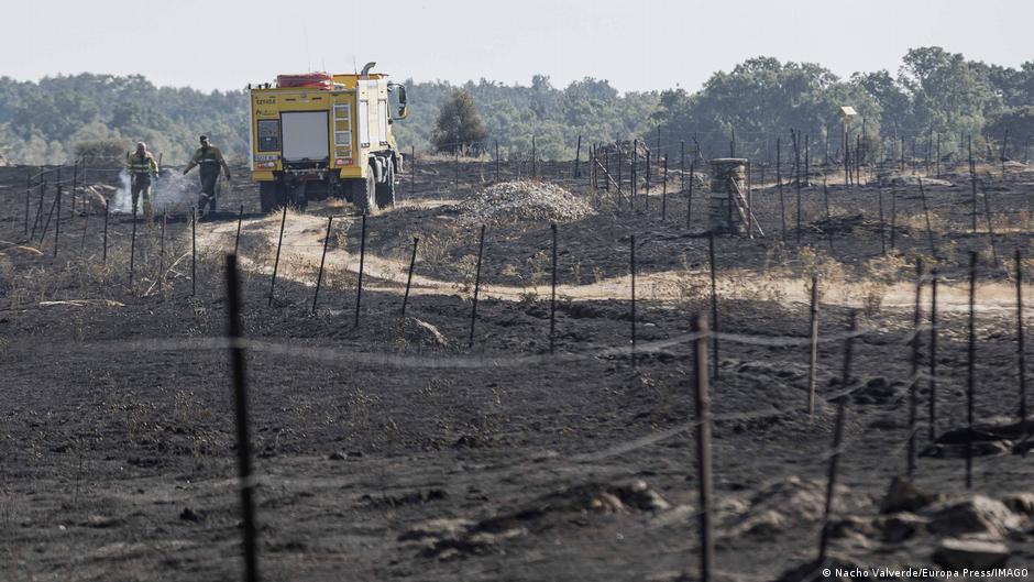 At least 30,000 hectares have been destroyed