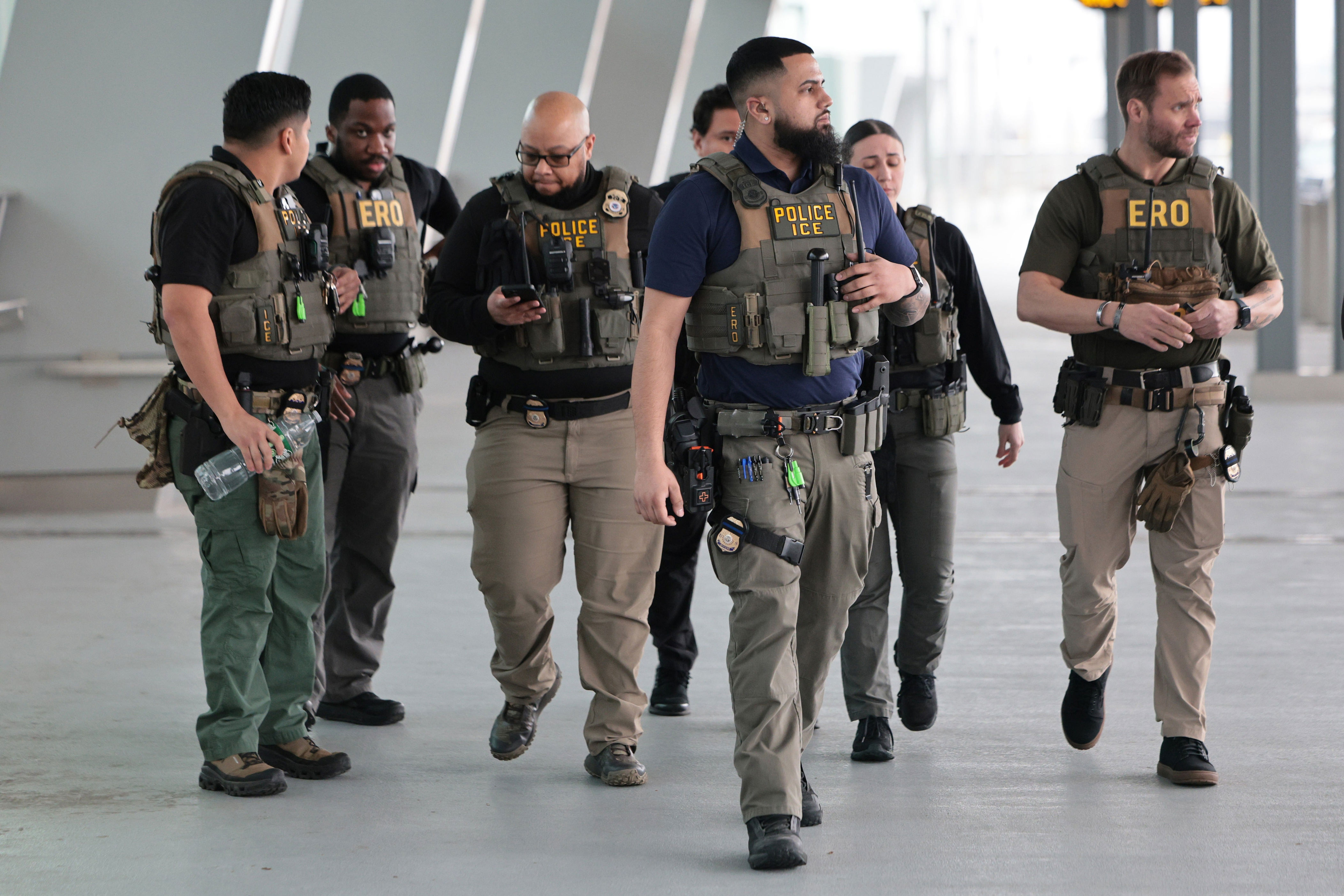 ‘All illegal aliens receive full due process,’ the Department of Homeland Security said (Getty Images)
