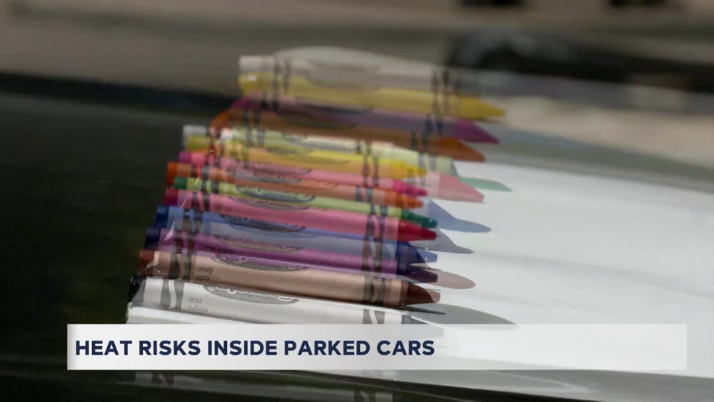 120 degrees in 30 minutes: Experiment shows how fast a car heats up as firefighters warn of dangers