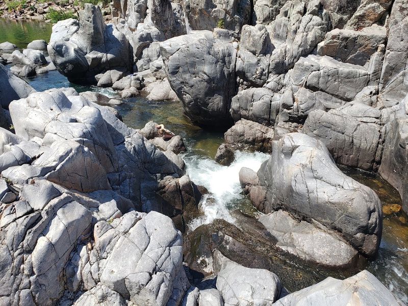 This Is Not A Regular Swim Spot