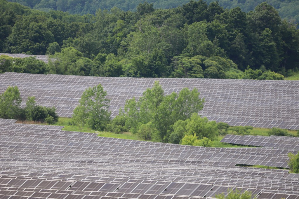 solar farm in Kingsbury New York (credit to Alex Fasulo)