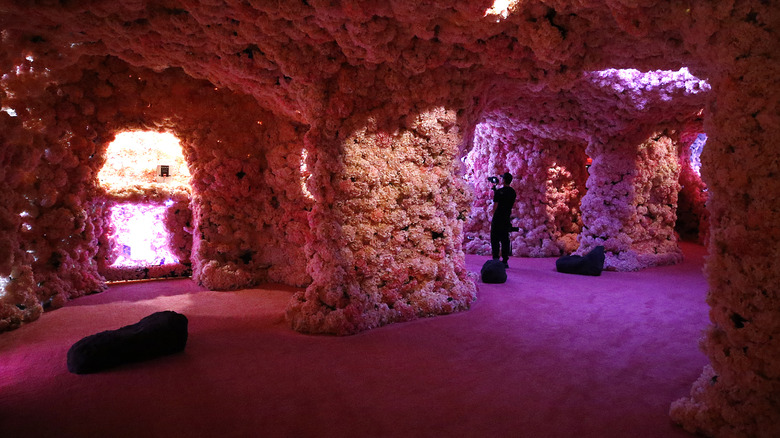 New York City's once-viral immersive attraction that's still worth a visit today
