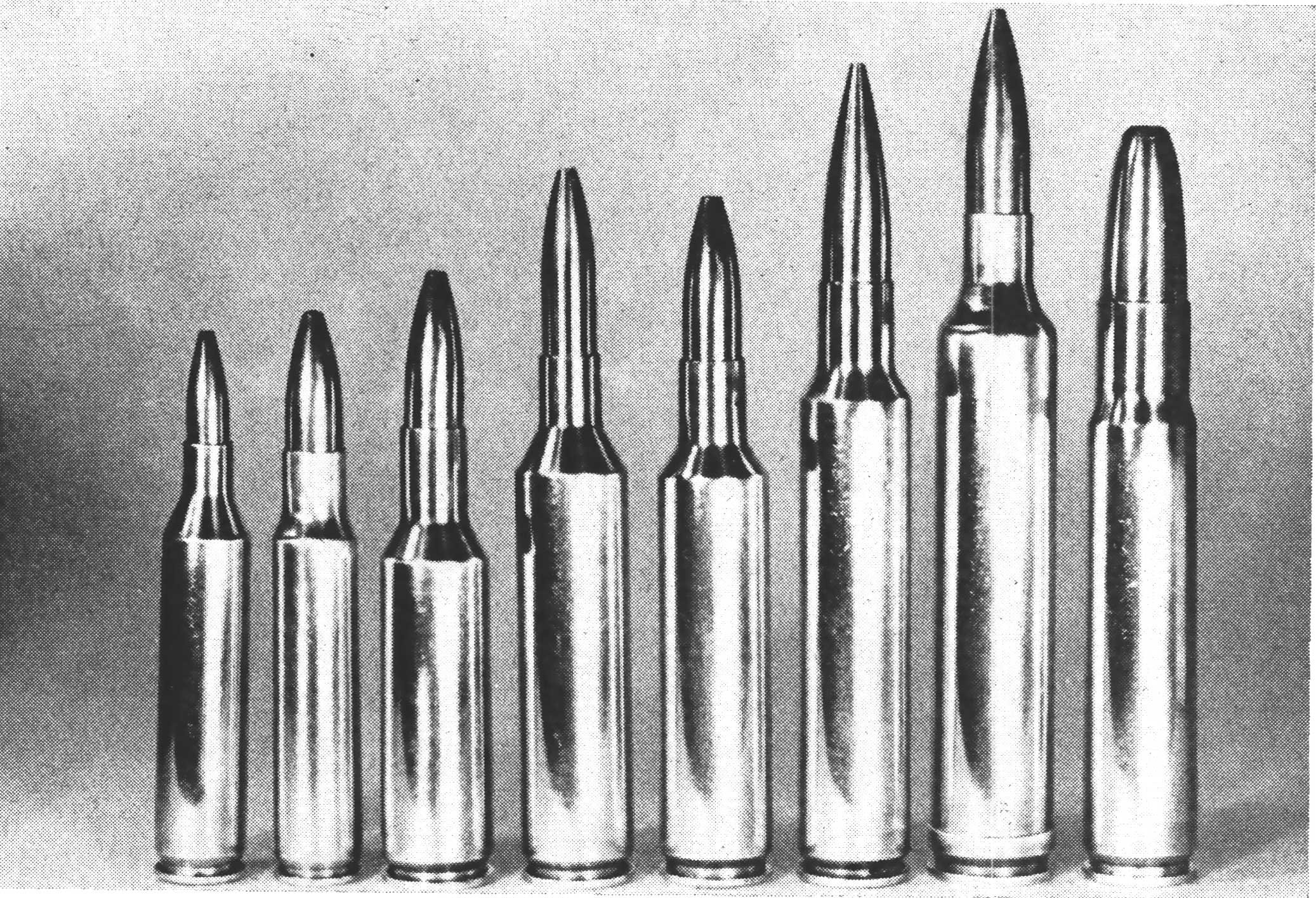 The greatest (and oddest) wildcat cartridges, according to a legendary gun writer