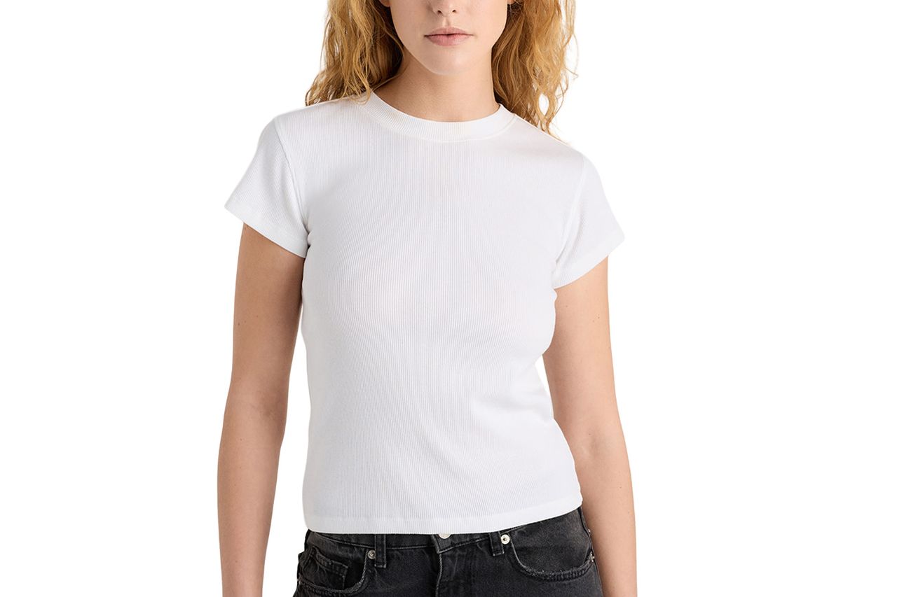 Quince Organic Cotton Micro-Rib Crewneck Tee