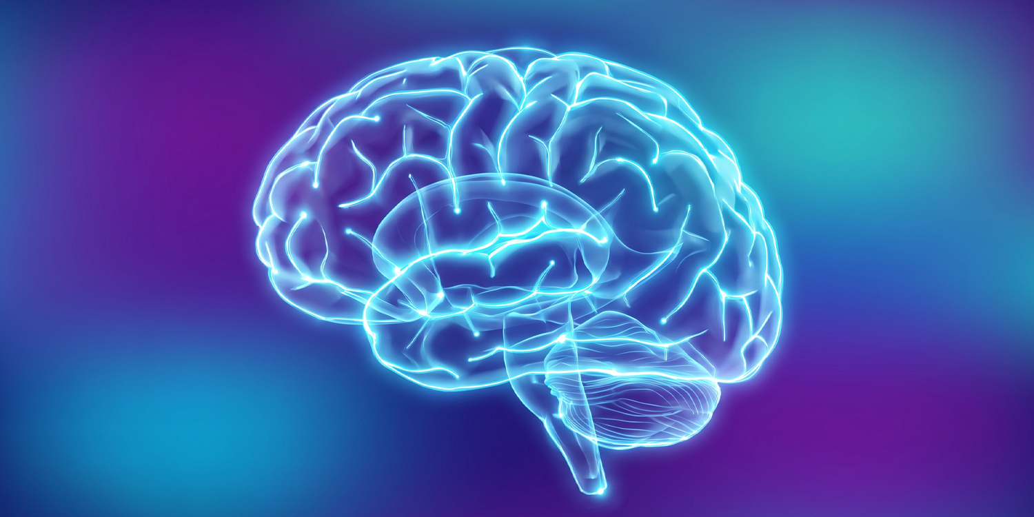 Socioeconomic status shapes brain networks in different ways for boys and girls