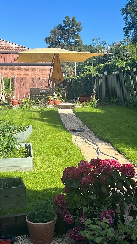 Once-overgrown yard earns applause after labor-intensive garden revival