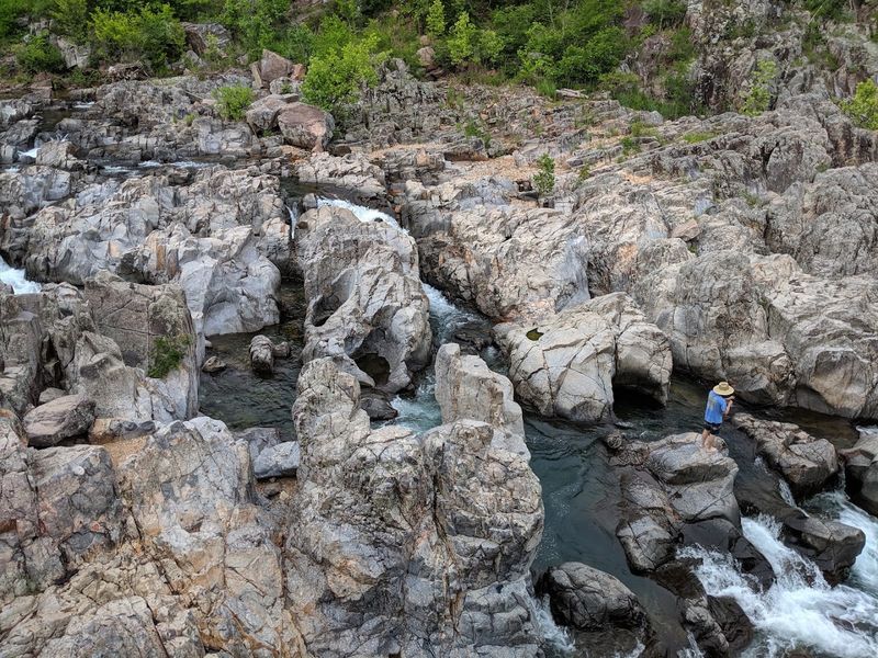 Do Not Bring Food Into The Shut-Ins Area