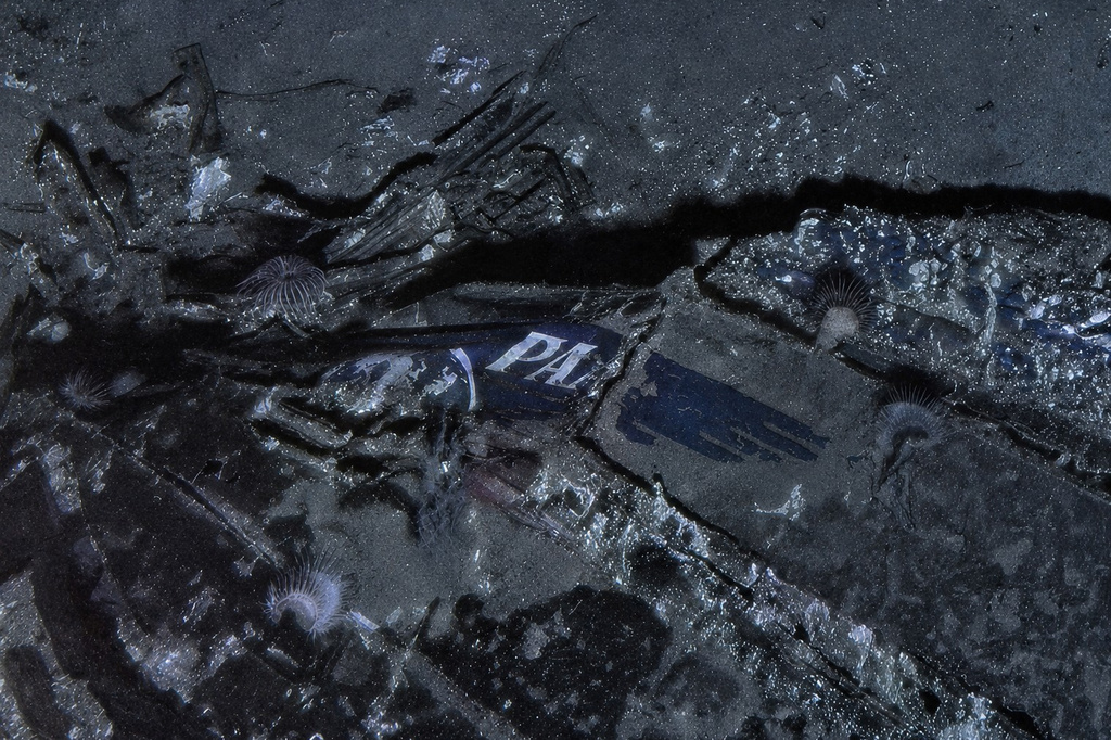Wreckage found of Pan Am plane crash that helped lead to today's safety briefings on every flight