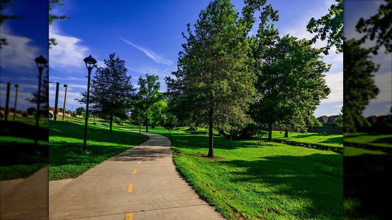 Green path in McKissic Station Park, Arkansas