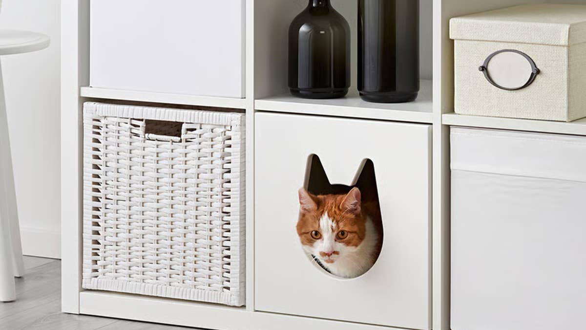 ikea-kallax-cat-house-living-room