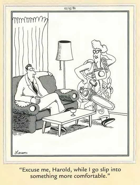Far Side Fashion - Something More Comfortable - and Safer