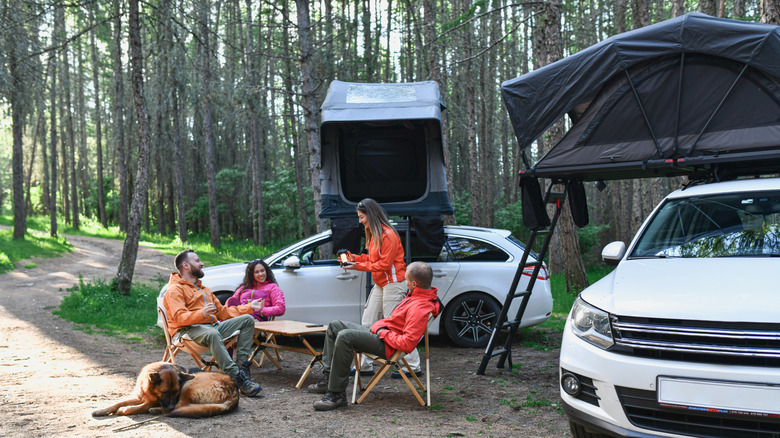 A group of friends car-camping together