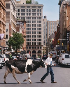 Levi's and Sky High Farm Goods Introduce New Denim Silhouettes
