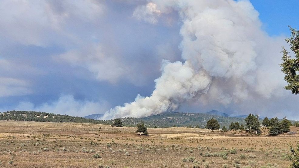 Oregon man dies in ATV accident while protecting his property from Brewer Fire