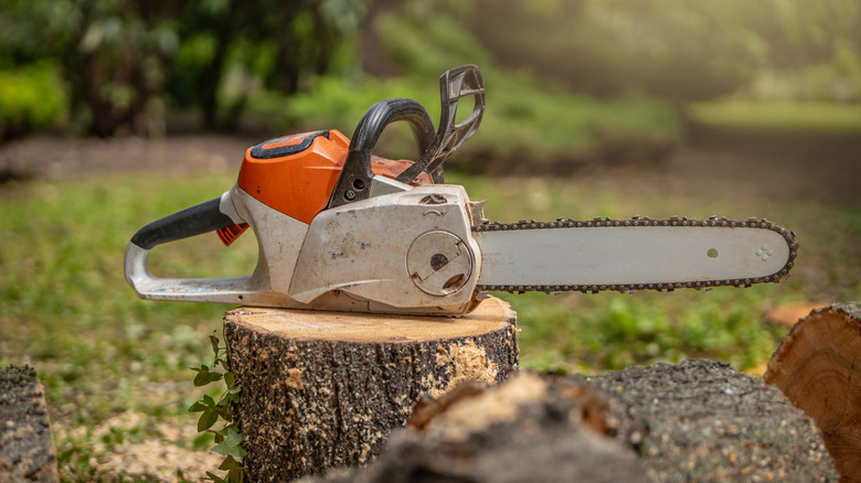 With or without gas: What's the best way to store your chainsaw?