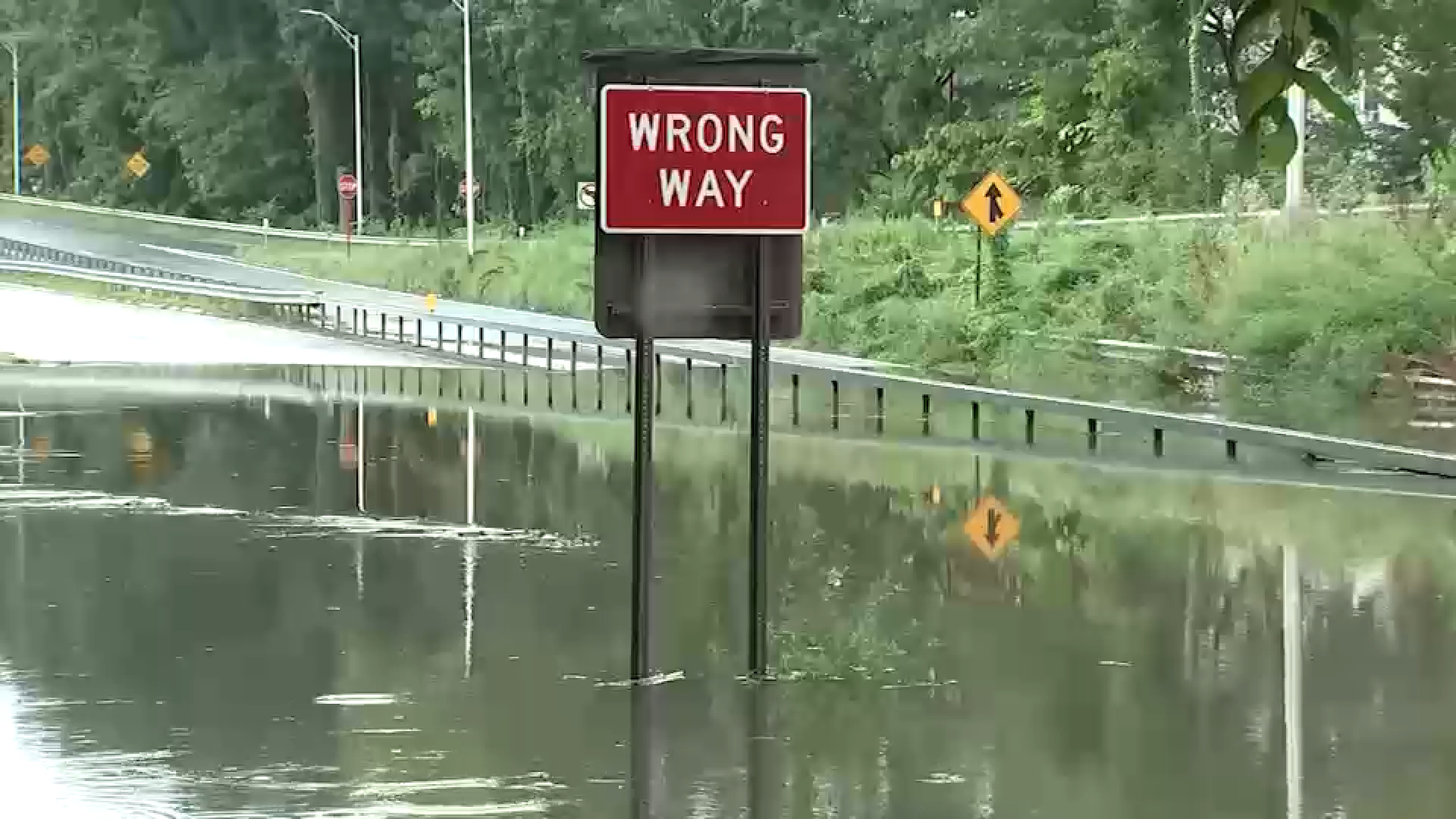 Flooding on Bronx River Parkway submerges cars during severe thunderstorms