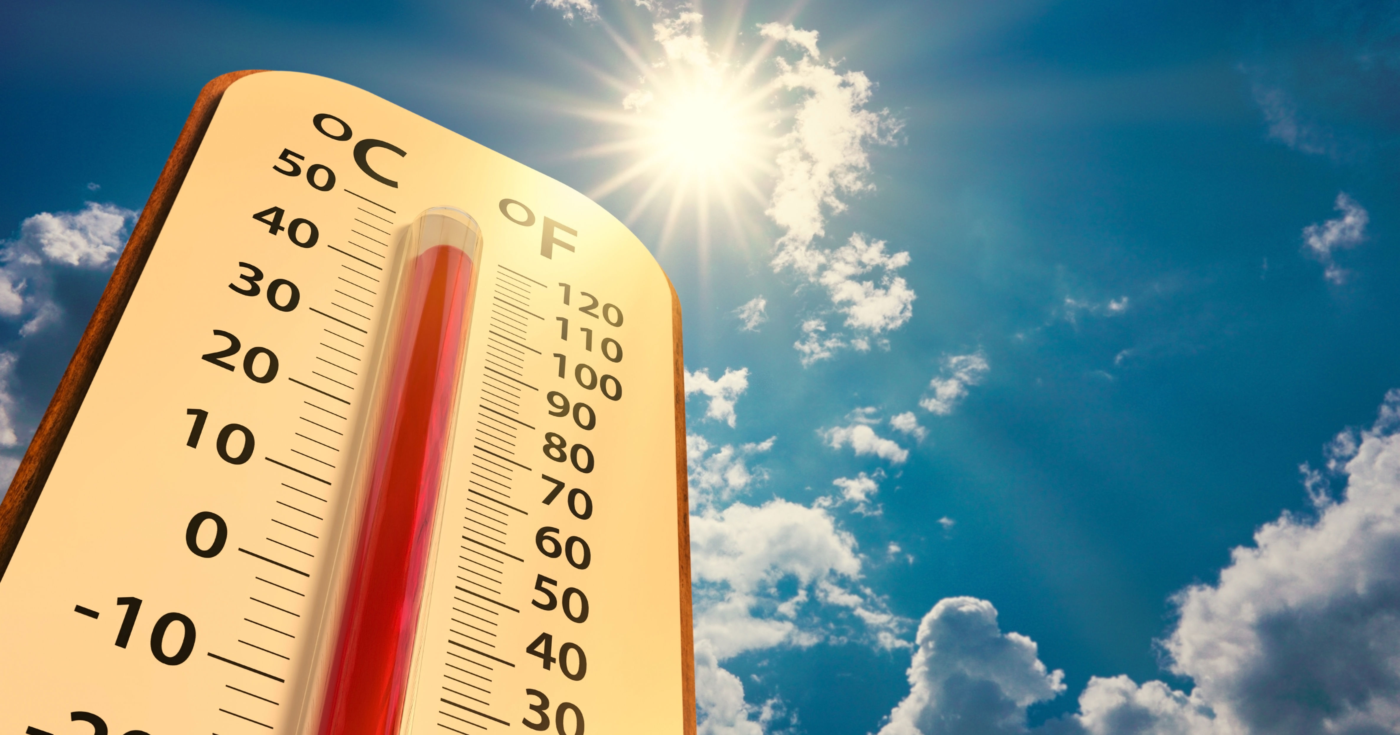 Tips for dealing with California’s big heat wave