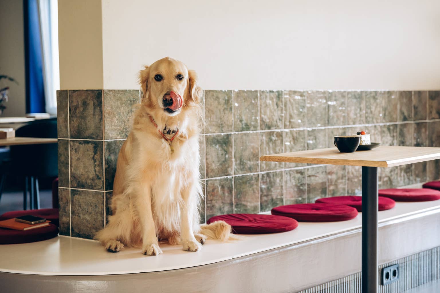 Golden retriever stays at restaurant for fries, wins hearts online