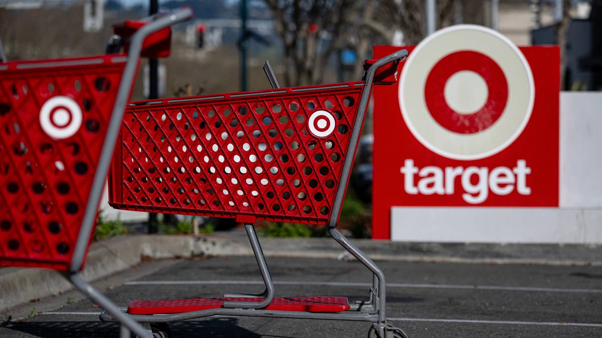 Target's portable $50 find gives pets a familiar spot to relax wherever you go