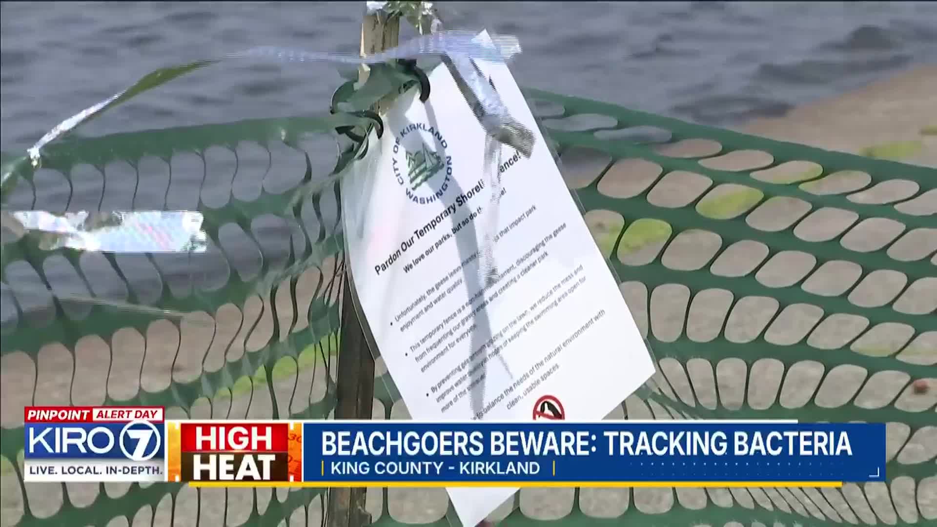 Multiple King County beaches closed due to high levels of bacteria or algae