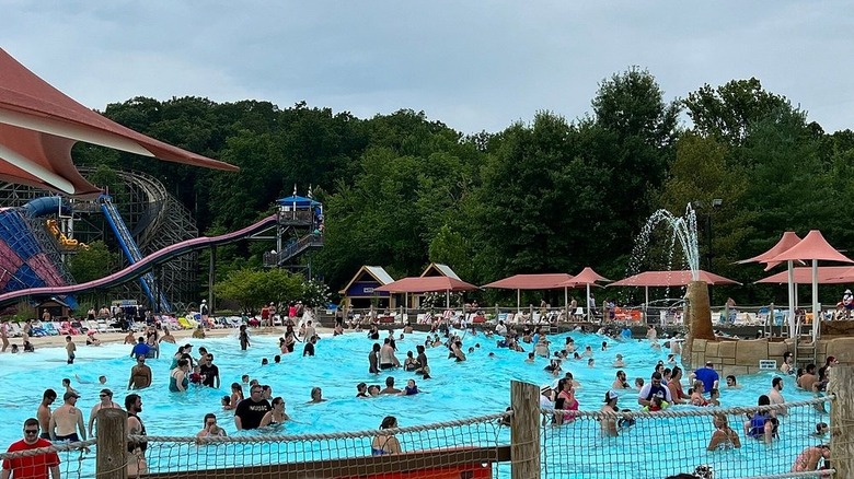 Pool full of people with rides in background