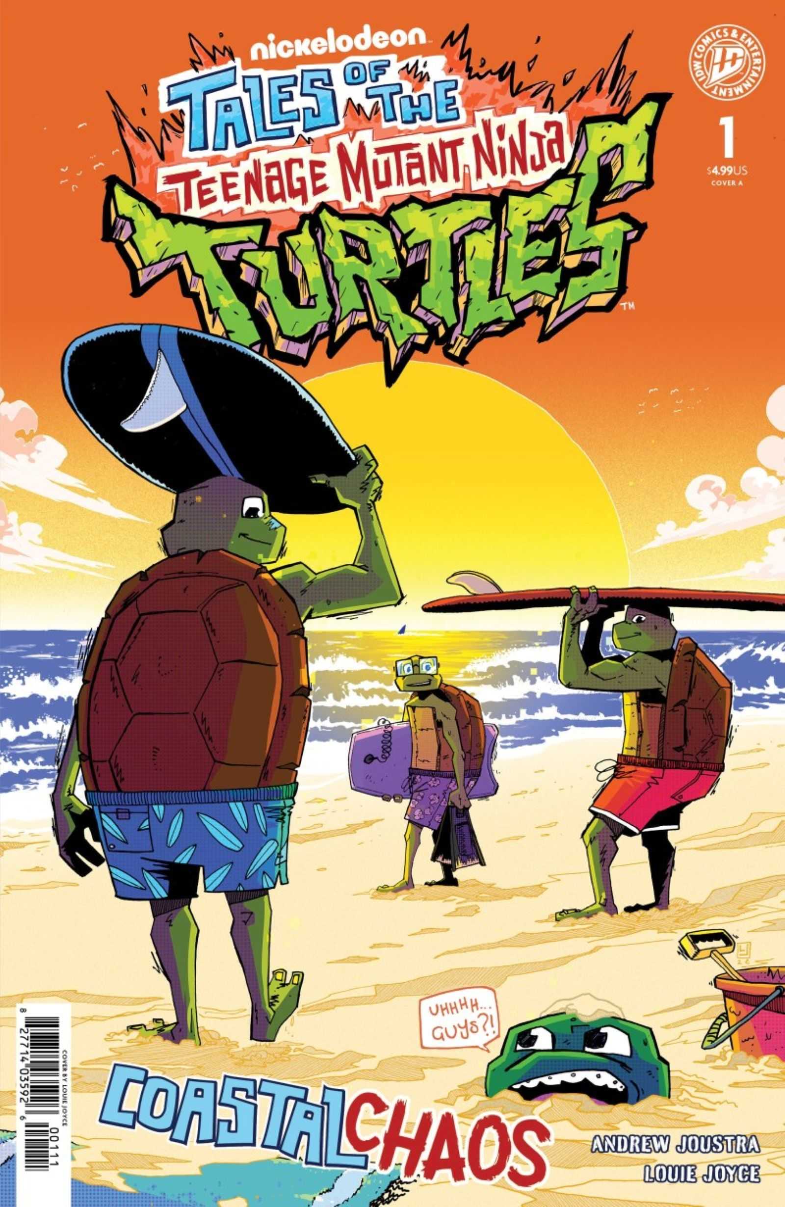 Coastal Chaos TMNT #1 main cover