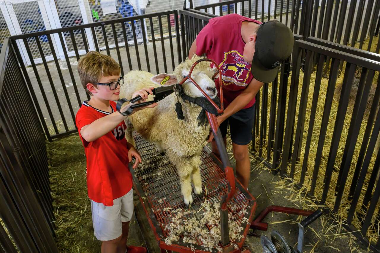 Photos: Saratoga County Fair opens