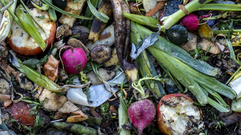 What Differentiates Fermentation And Rotting?