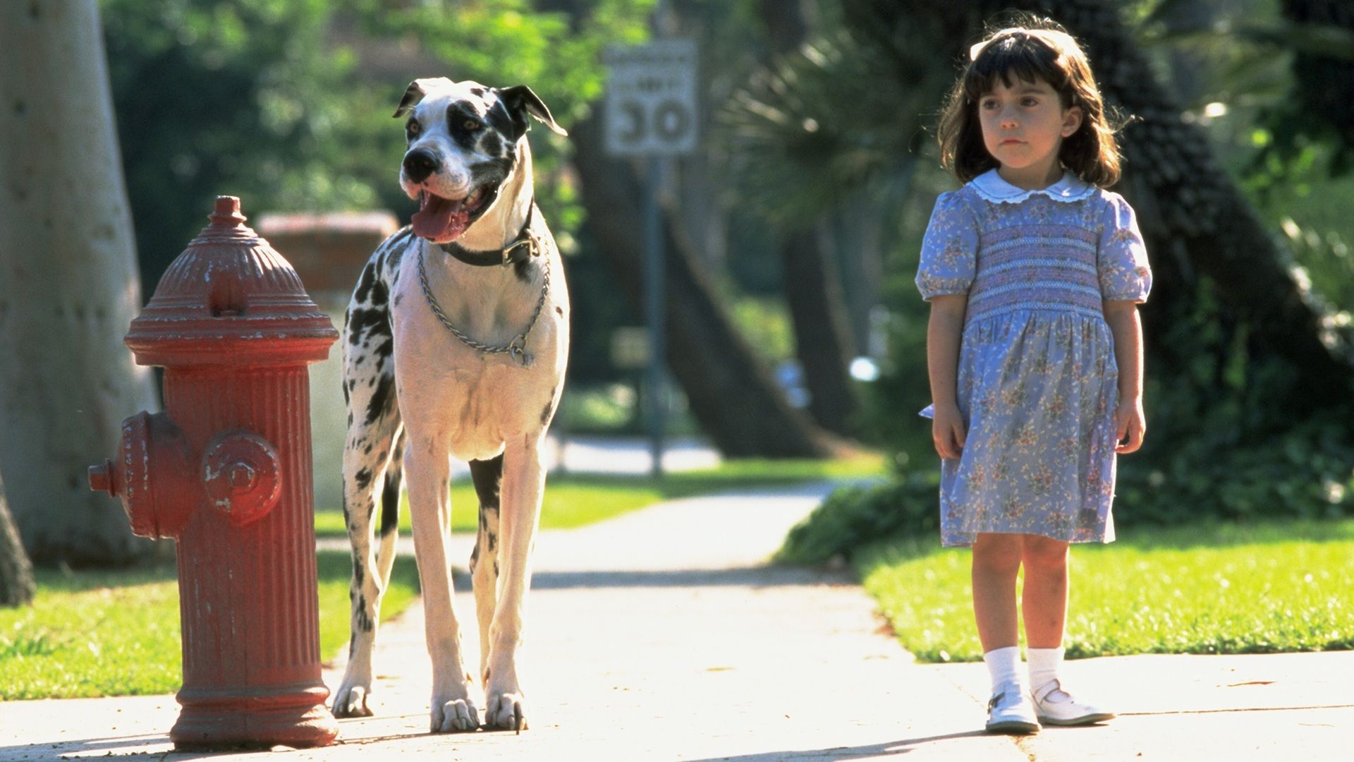 30 years later, sequel to fantasy family favorite still possible, says OG star