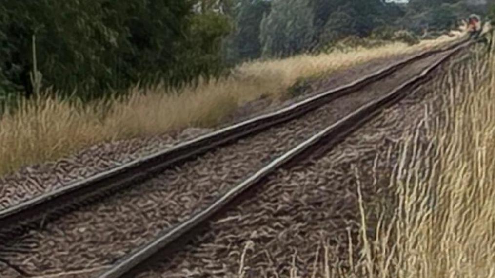 The tracks are uneven because of the peat shrinkage, Network Rail said