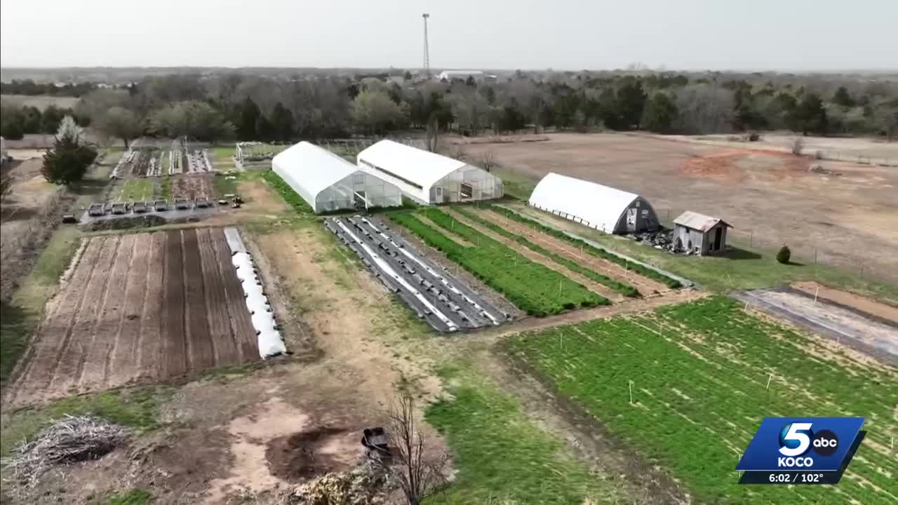 Oklahoma farmers push through extreme heat to meet produce demand