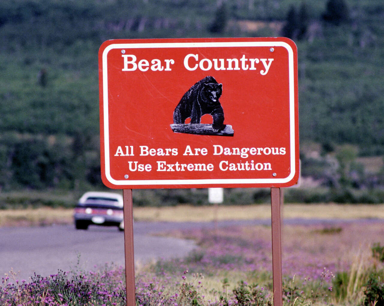 Report on man killed by Glacier National Park grizzly contains disturbing new details