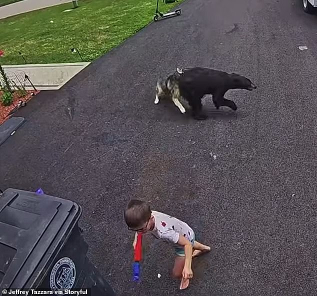 Seemingly out of nowhere, a large black bear cub, roughly twice the size of the family's dog, Bella, came rushing toward the 6-year-old