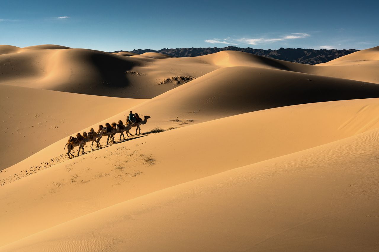 A caravan of camels with riders traversing sand dunes in a desert landscape