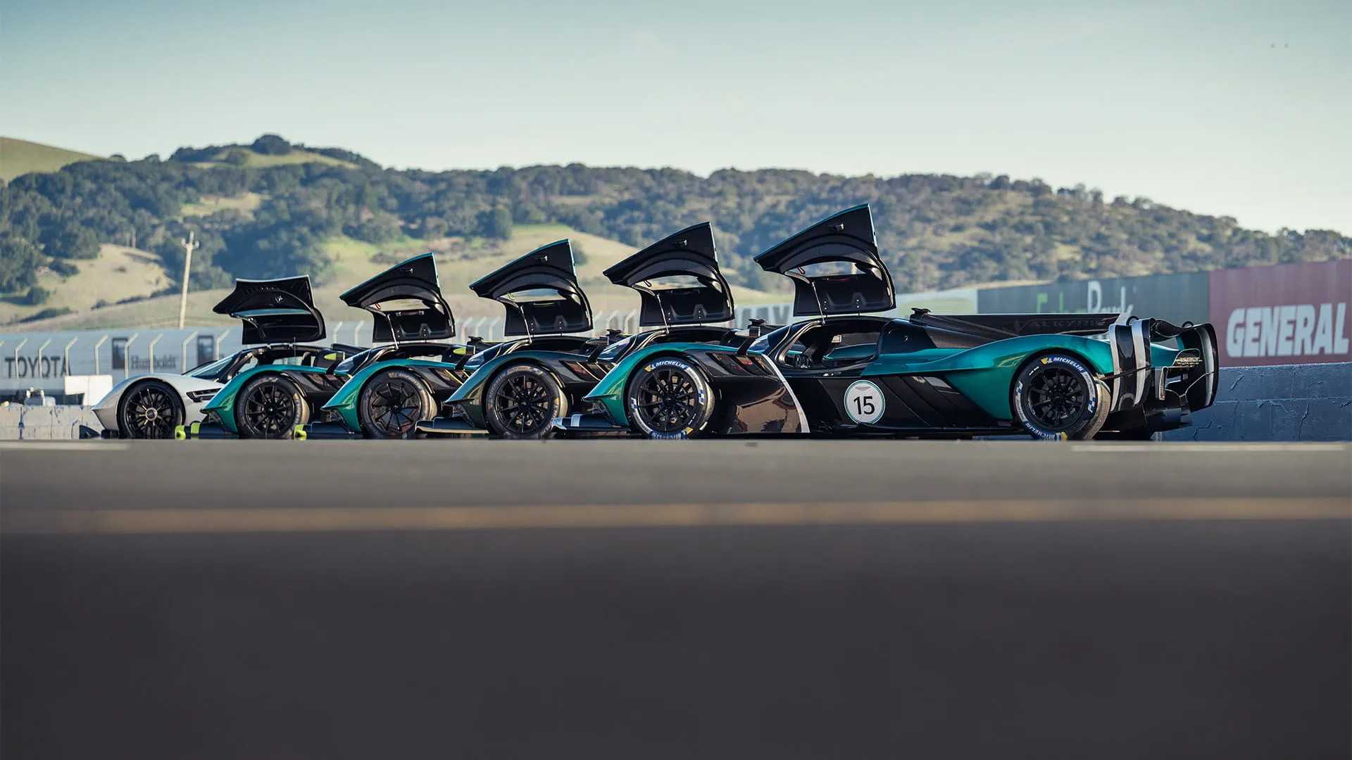 Aston Martin Unleashed Track Car Program