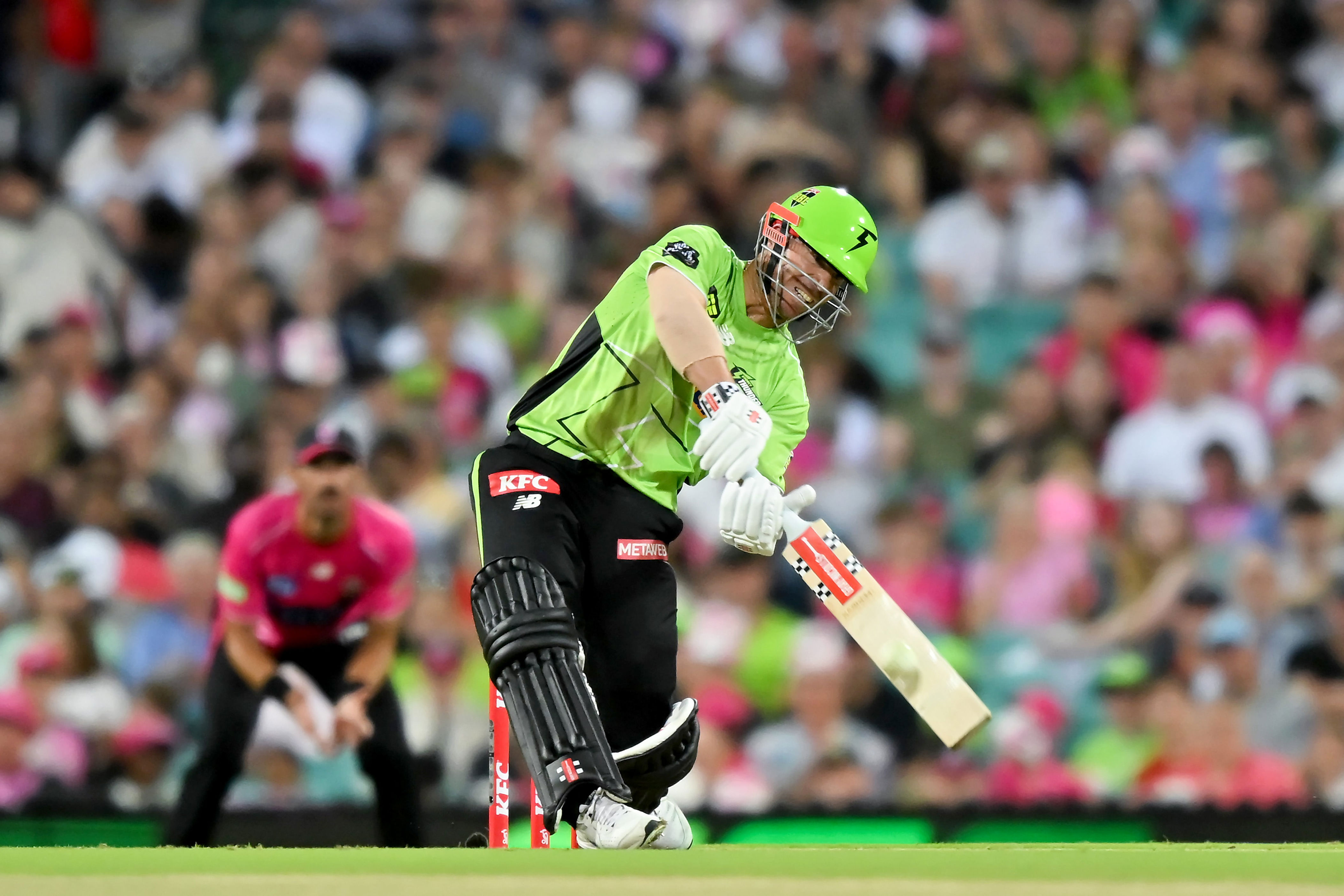 David Warner of Sydney Thunder bats during a match against Sydney Sixers on 16 January 2026 (Getty)