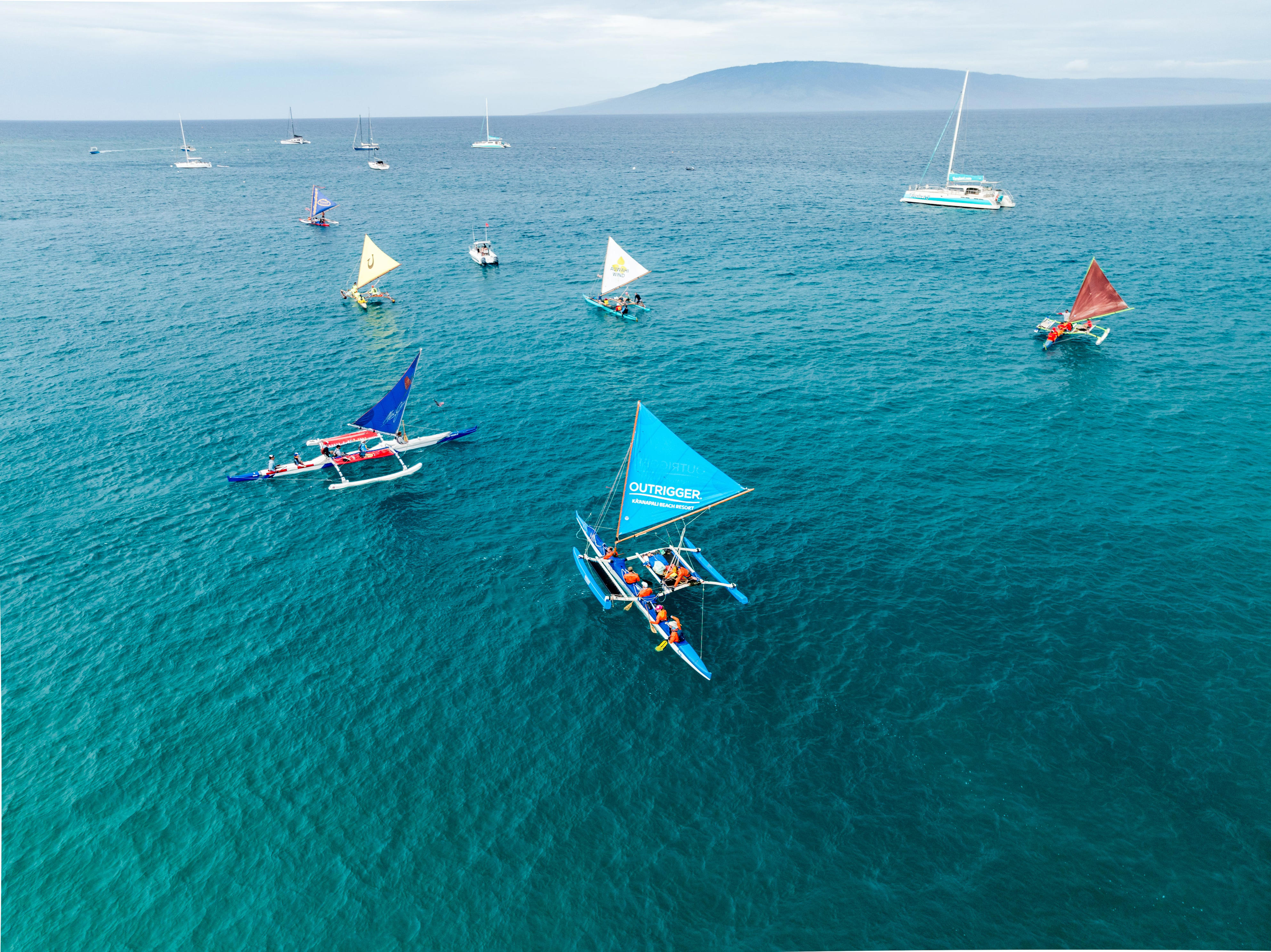 Once a year, Maui travelers can skim the water like a bird