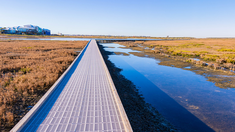 Boardwalks at a birding center in Texas.