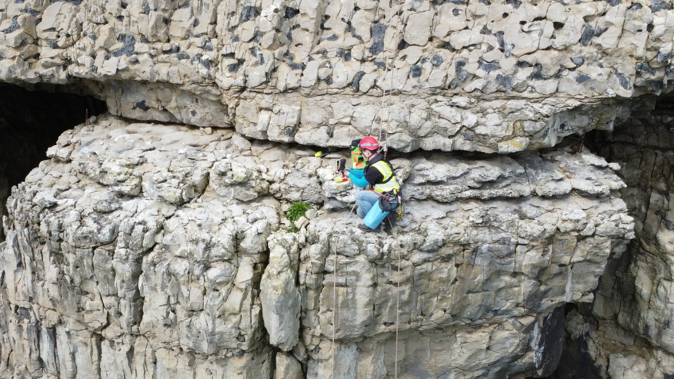 Motion-sensor trail cameras have been placed in a crevice on a sheer cliff