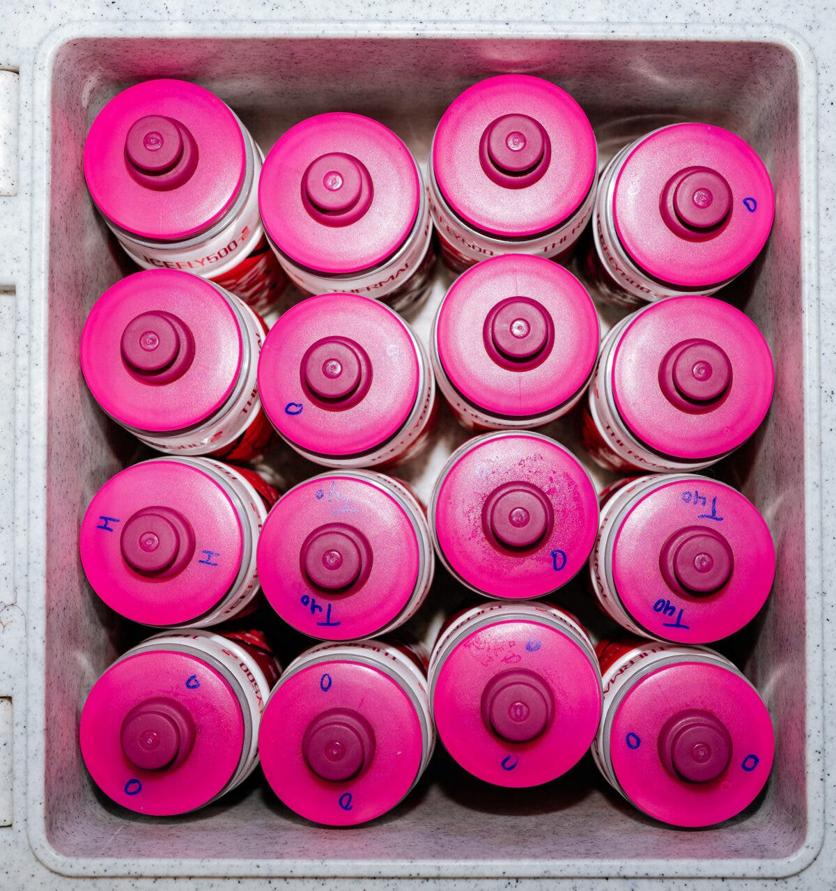Tadej Pogačar is Taking a Secretive New Lactate Fuel at the Tour de France. Here's Why That Matters.