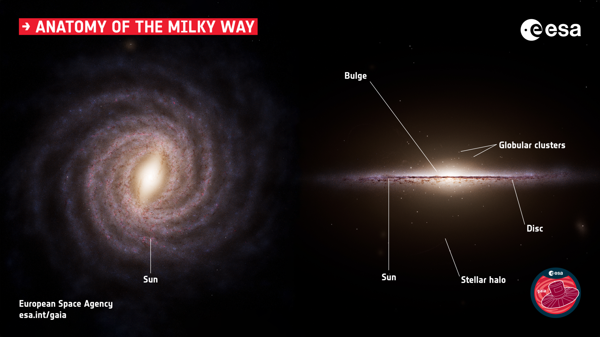 Anatomy of the Milky Way created by ESA's Gaia telescope.